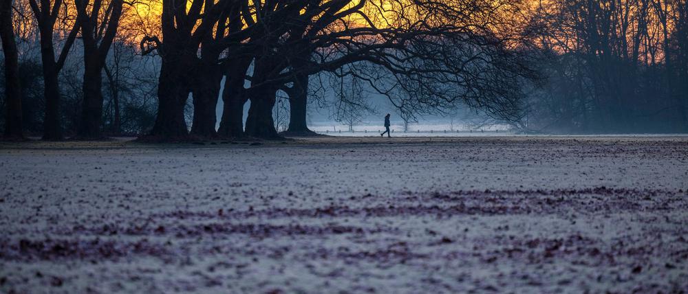 Die Woche startet in Deutschland vielerorts mit Sonne, Nebel und Frost.