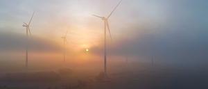 Autofahrer sollten sich zu Beginn der Woche auf Nebel einstellen. (Symbolbild)