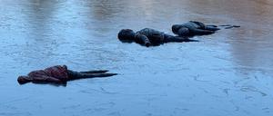 Puppen im Landwehrkanal 