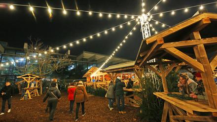 Das Winterdorf im Potsdamer Volkspark.