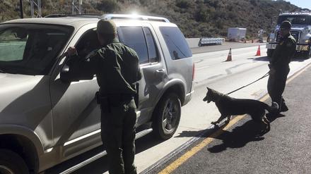 Grenzschutzbeamte setzen einen Drogenspürhund ein, um Fahrzeuge am kalifornischen Pine Valley-Kontrollpunkt an der Hauptroute von Arizona nach San Diego zu überprüfen. 