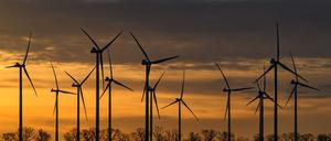 Heiteres Wetter ist in Berlin und Brandenburg zu erwarten. (Symbolbild)