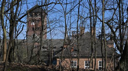 Der Zustand des alten Landtags auf dem Brauhausberg verschlechtert sich. Der Investor ist bislang untätig. Die Frist für einen Rückkauf läuft 2025 ab.