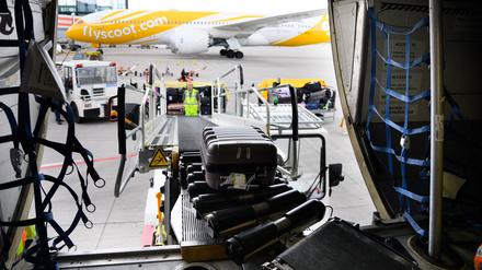 Der dunkle Laderaum von Flugzeugen erscheint Mücken als attraktiver Ruheort. Am Zielflughafen können sie wieder aktiv werden.