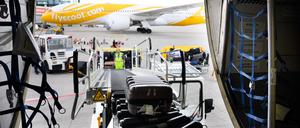 Der dunkle Laderaum von Flugzeugen erscheint Mücken als attraktiver Ruheort. Am Zielflughafen können sie wieder aktiv werden.