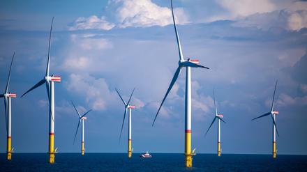 Windräder stehen zwischen den Inseln Rügen und Bornholm in der Ostsee.