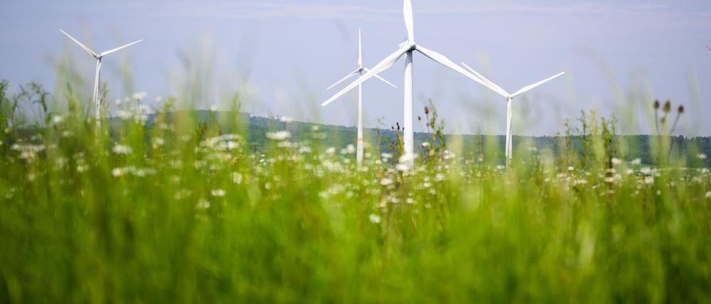 Beim Bau von Windrädern macht Deutschland Fortschritte. Doch in anderen Bereichen hakt es beim Klimaschutz weiter.
