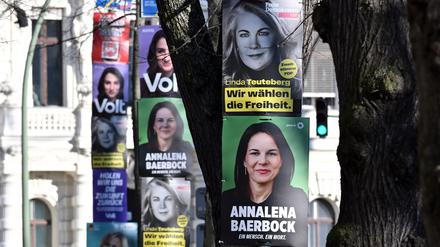 Werben um Wählerstimmen: Vor der Bundestagswahl am 23. Februar haben die Parteien auch in Potsdam reichlich plakatiert.