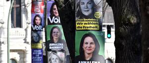 Werben um Wählerstimmen: Vor der Bundestagswahl am 23. Februar haben die Parteien auch in Potsdam reichlich plakatiert.