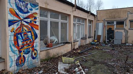 Versteckt zwischen Müll und Gestrüpp: Die Erhaltung der Mosaike an der Bornitzstraße im Bezirk Lichtenberg ist bedroht. 