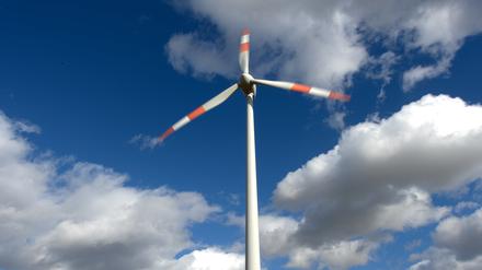 In einigen Jahren könnten sich in Groß Glienicke mehrere Windräder drehen. 