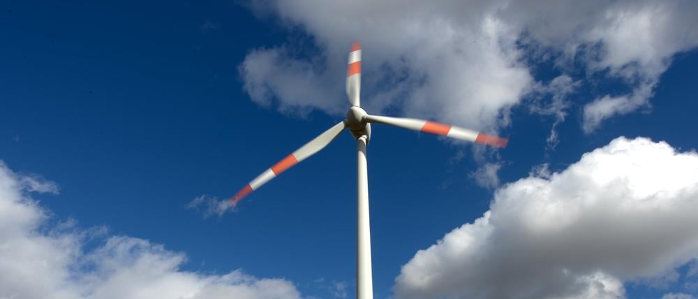 In einigen Jahren könnten sich in Groß Glienicke mehrere Windräder drehen.