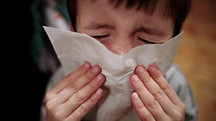 In Deutschland sind derzeit ungewöhnlich viele Schulkinder krank. Bei den 5- bis 14-Jährigen leidet fast jedes sechste Kind.