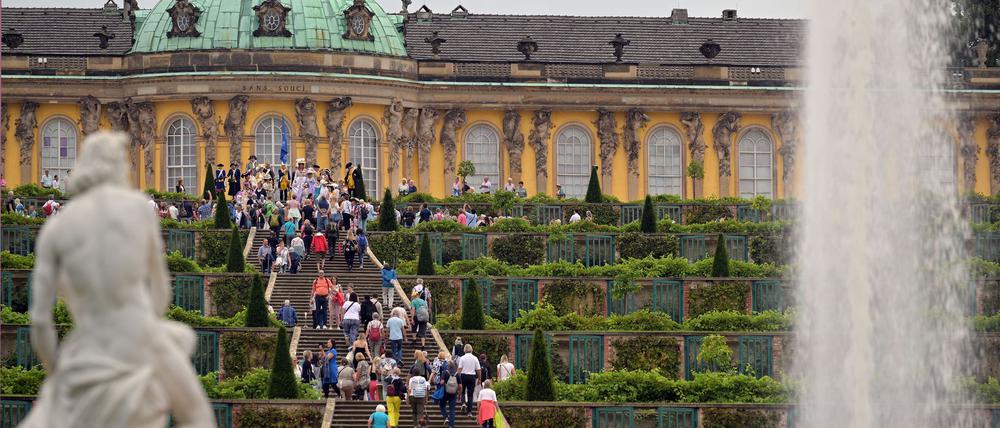 Auch im weltberühmtem Schloss und Park Sanssouci in Potsdam wird es 2025 viel Musik geben - und zur Schlössernacht im August wird getanzt. (Archivbild)