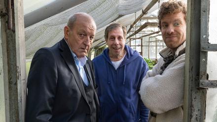 Drei mit Durchblick im Gewächshaus: Wilsberg (Leonard Lansink, l-r), Ekki (Oliver Korittke) und Mikka Lindental (Sebastian Weiss).