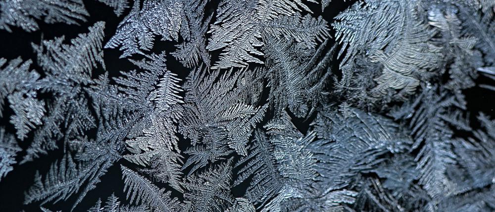 Häufig sehen Eisblumen wie Farnblätter aus. (Archivbild)