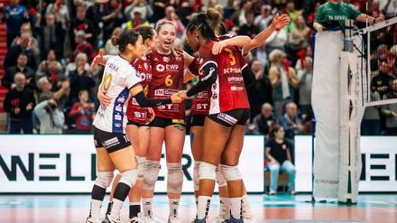 Potsdams Volleyballern feiern einen souveränen Sieg gegen Wiesbaden. 