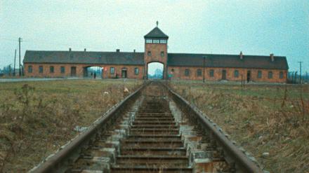 Das ehemalige Konzentrationslager Auschwitz-Birkenau in einer Szene des Films «Shoah».