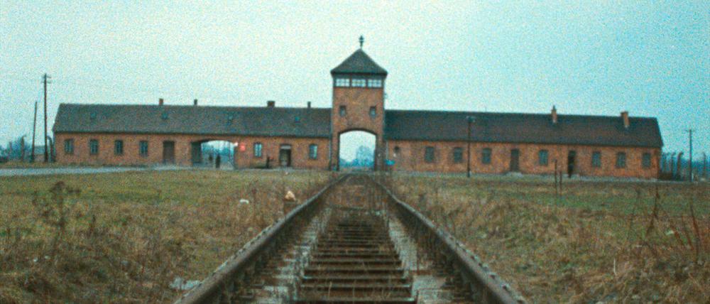 Das ehemalige Konzentrationslager Auschwitz-Birkenau in einer Szene des Films «Shoah».