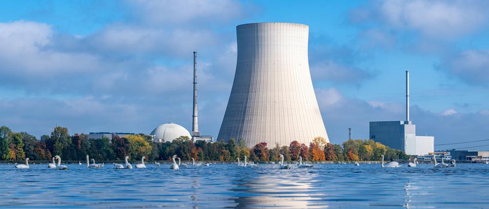 Die Abfälle aus Atomkraftwerken können nach einer Studie von Experten in deutlich weniger schädliche Elemente umgewandelt werden. 