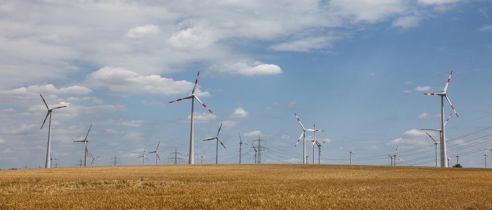 Jetzt nicht abbauen: Für den Klimaschutz ist jedes Zehntel Grad vermiedener Erwärmung entscheidend.