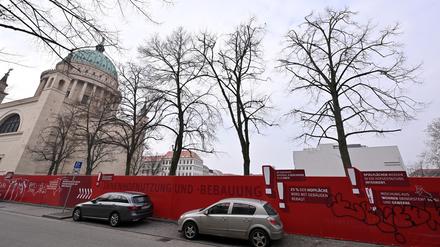 Die Linden am abgerissenen Staudenhof sollen ab Herbst 2025 umgepflanzt werden.