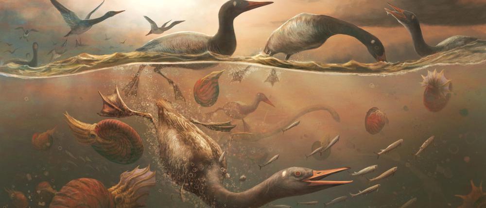 Vegavis iaai, ein Vorfahr der heutigen Wasservögel, überlebte den Einschlag des Asteroiden, der das Aussterben der Dinosaurier einleitete.