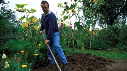 Bildnummer: 50176570  Datum: 25.09.2002  Copyright: imago/Redeleit
Harken im Spätherbst - Gärtner bereitet sein Beet auf den Winter vor, Personen, Landschaft, Objekte, Symbolfoto; 2002, Garten, Gärten, Gartenarbeit, Erde, Erdboden, Boden, Böden, Erdreich, harken, lüften, durchlüften, lockern, auflockern, Beet, Beete, Blumenbeet, Blumenbeete, Gärtner, Hobbygärtner, Wintervorbereitung, Wintervorbereitungen, Harke, Harken; , quer, Kbdia, Einzelbild, Gebrauchsgegenstände, Deutschland,  ,