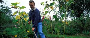 Bildnummer: 50176570  Datum: 25.09.2002  Copyright: imago/Redeleit
Harken im Spätherbst - Gärtner bereitet sein Beet auf den Winter vor, Personen, Landschaft, Objekte, Symbolfoto; 2002, Garten, Gärten, Gartenarbeit, Erde, Erdboden, Boden, Böden, Erdreich, harken, lüften, durchlüften, lockern, auflockern, Beet, Beete, Blumenbeet, Blumenbeete, Gärtner, Hobbygärtner, Wintervorbereitung, Wintervorbereitungen, Harke, Harken; , quer, Kbdia, Einzelbild, Gebrauchsgegenstände, Deutschland,  ,