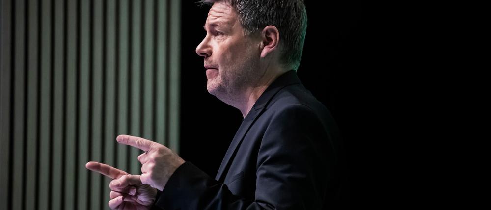 Grünen-Kanzlerkandidat Habeck wehrt sich gegen Plagiatsvorwürfe