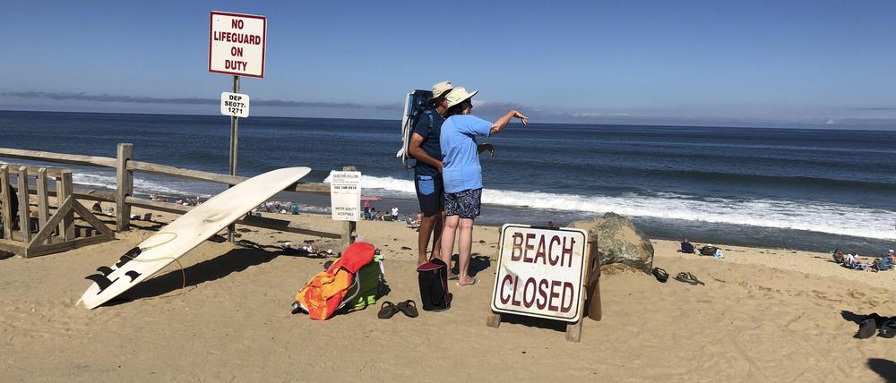 Am Newcomb Hollow Beach im US-Bundesstaat Massachusetts, wurde 2018 ein allein schwimmender junger Mann von einem Weißen Hai getötet.