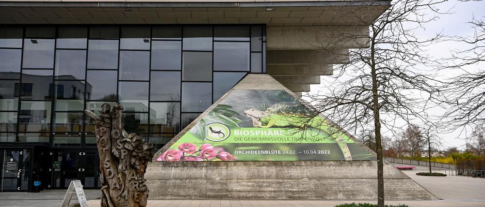 Ungewisse Zukunft: Wie geht es weiter mit der Tropenhalle in Potsdam?