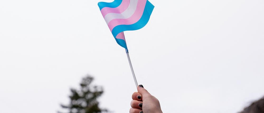 Transgender-Flagge bei einer Demonstration.
