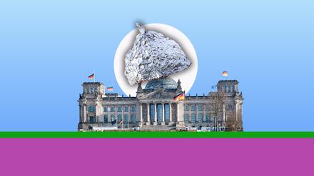 Bundestag mit Aluhut.