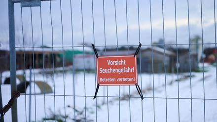 Nach dem Ausbruch in einer Büffelherde kamen bislang keine weiteren Fälle hinzu (Archivbild).
