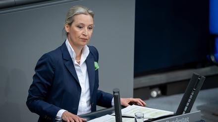 Die AfD sitzt bisher nicht in der von Orban gegründeten rechten Europaparlaments-Fraktion der Patrioten für Europa.