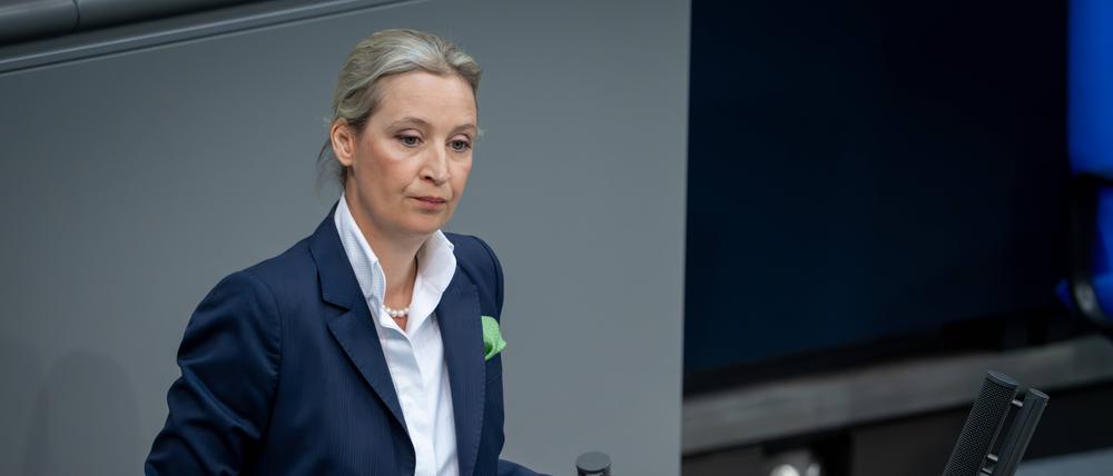 Die AfD sitzt bisher nicht in der von Orban gegründeten rechten Europaparlaments-Fraktion der Patrioten für Europa.