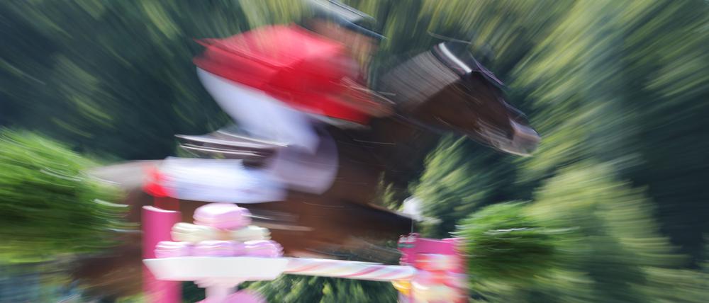 Die meisten toten Tiere gab es im Springreiten.