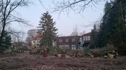 Ella Kay Heim in Berlin-Kladow Spandau // Rodung beginnt