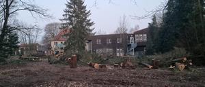 Ella Kay Heim in Berlin-Kladow Spandau // Rodung beginnt