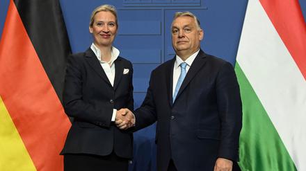 Das Treffen zwischen Weidel und Orban wurde inszeniert wie ein Staatsbesuch. 