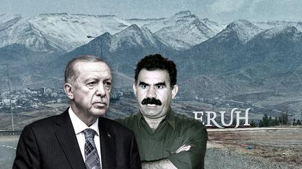 Der türkische Präsident 