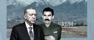 Der türkische Präsident 