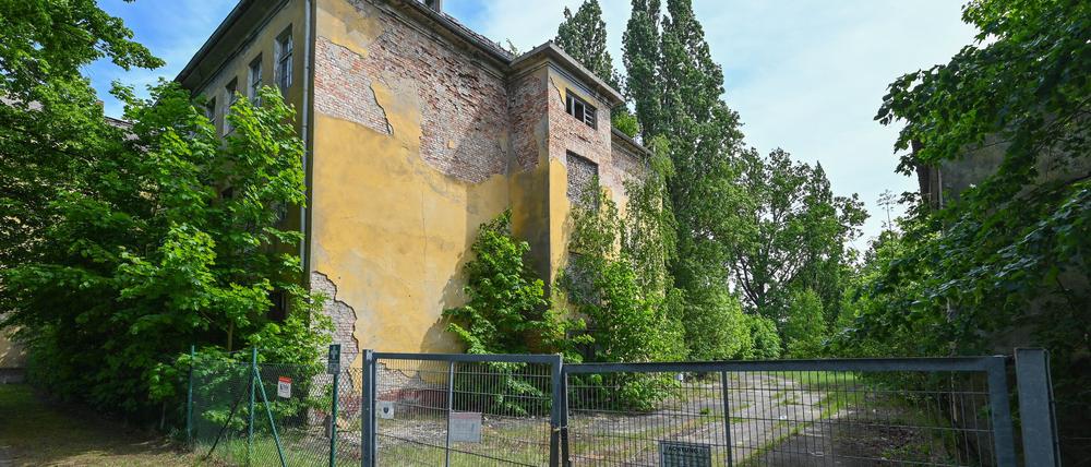 Innenministerin Lange beendet Pläne für ein Ausreisezentrum auf einem verlassenen Gelände auf der Oder-Insel in Küstrin-Kietz, prüft aber andere Standorte. (Archivbild)