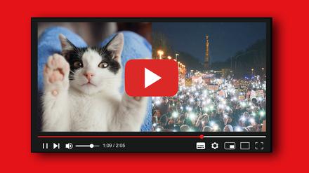 Cat-Content und Anti-Nazi-Mobilisierung: Die Plattform ist ein einziger Widerspruch.