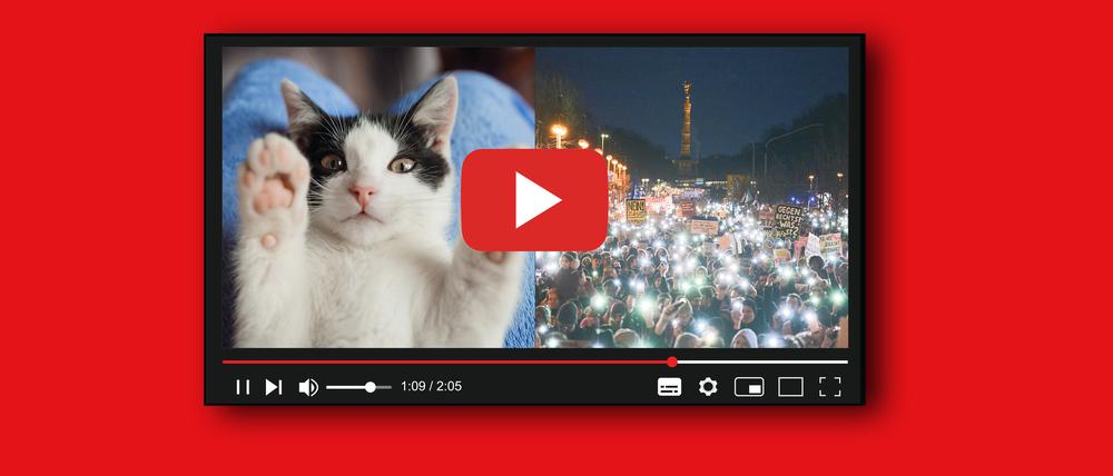 Cat-Content und Anti-Nazi-Mobilisierung: Die Plattform ist ein einziger Widerspruch.