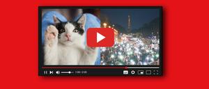 Cat-Content und Anti-Nazi-Mobilisierung: Die Plattform ist ein einziger Widerspruch.