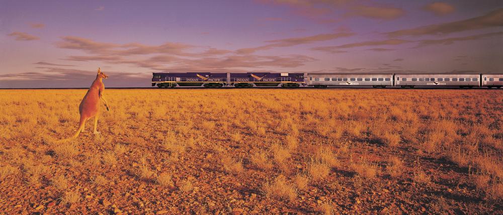 Über die silberne Schlange staunt jedes Känguru.