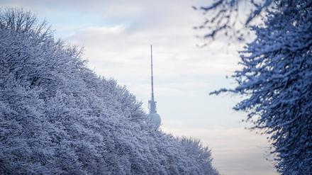 Hinter schneebedeckte Bäume zeigt sich der Fernsehturm.