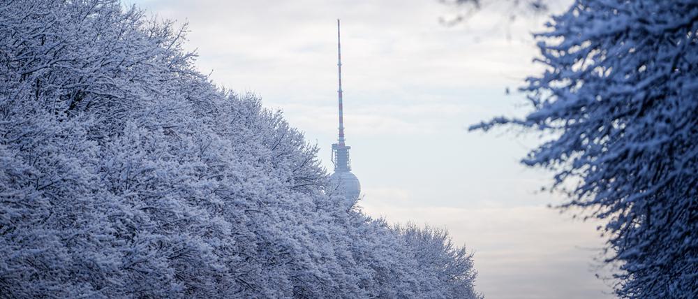 Hinter schneebedeckte Bäume zeigt sich der Fernsehturm.